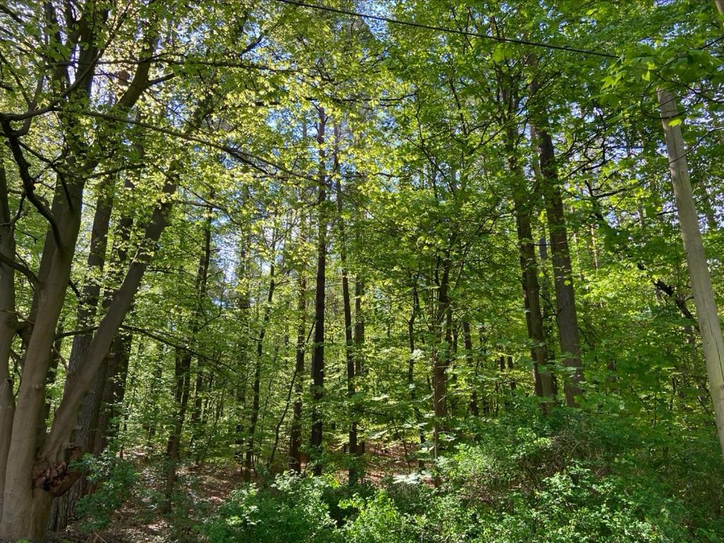 Апарт готель Waldwerk Wurlgrund Ліхен Екстер'єр фото